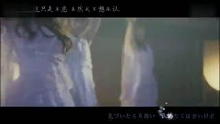 女团恋情爆料视频播放,视频播放引发热议，粉丝直呼心疼